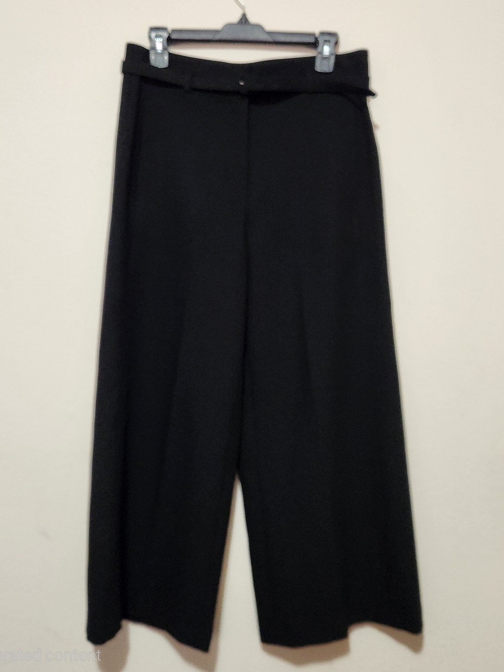 Ann Taylor Tailored Yet Casual Streetwear Chic Minimalist Cropped Wide Leg Pant